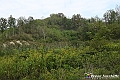 VBS_5435 - C'è un mare di velluto verde! E tu che sognavi di andare lontano... Quanta meraviglia, quì!